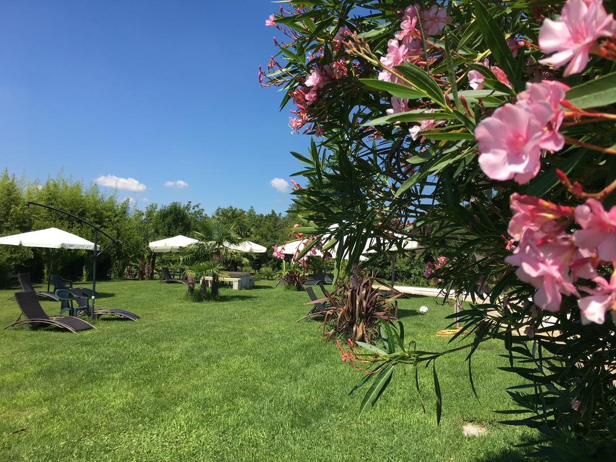 Agriturismob&B Loggia Degli Artisti Palazzolo dello Stella Luaran gambar